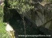 Parco Regionale Spina Verde Como   video 3d (Regione Lombardia 2011) | dvd  | Video Industriali | Filmati Aziendali | Giuseppe Galliano Multimedia Studio | 