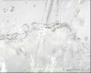 Asset Water Technology   (2010) | dvd  | Video Industriali | Filmati Aziendali | Giuseppe Galliano Multimedia Studio | 