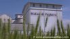 video promozionale Molini di Voghera (2017) | video industriali filmati istituzionali  | Video Industriali | Filmati Aziendali | Giuseppe Galliano Multimedia Studio | 