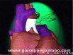 Simulazione tridimensionale per intervento chirurgico sullaorta per il Prof. Jacoub – Dideco (1995) | produzioni medicali  | Video Industriali | Filmati Aziendali | Giuseppe Galliano Multimedia Studio | 