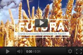 filmato istituzionale enciclopedia Futura (2004) | video industriali filmati istituzionali  | Video Industriali | Filmati Aziendali | Giuseppe Galliano Multimedia Studio | 