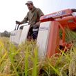 Video aziendale PhosAGro - Rice Harvesting